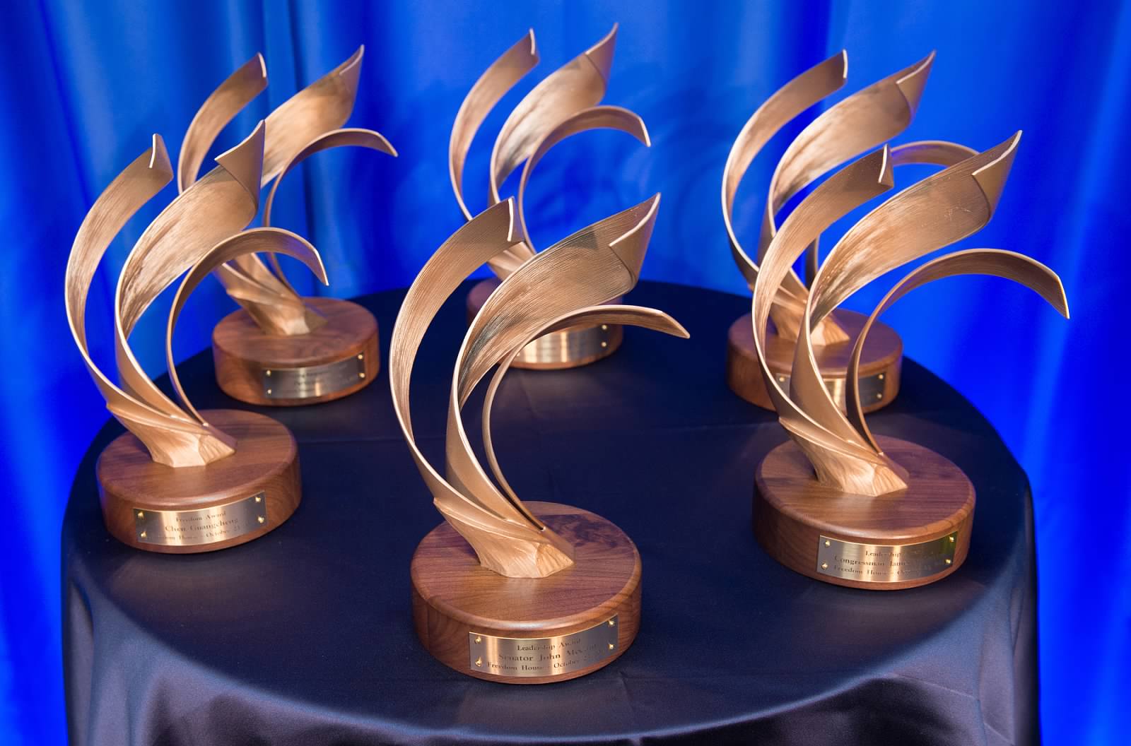 freedom award trophy
