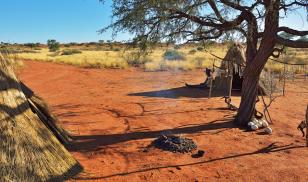 advancing rights of indigenous peoples in sourthern africa