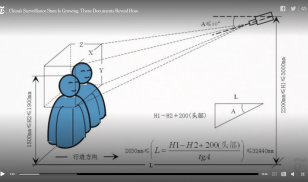 Surveillance Scale Exposed